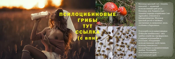 хмурый Абдулино