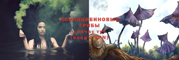spice Алзамай